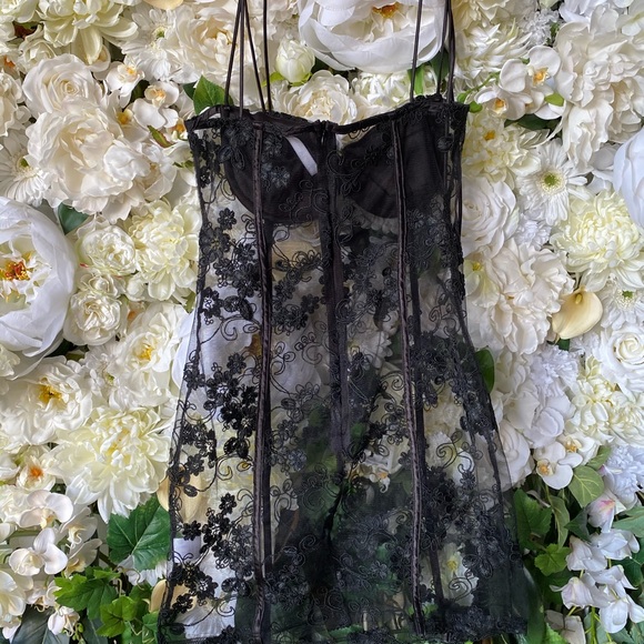 Sheer Black Floral Embroidered Bustier Mini Dress - Picture 5 of 7